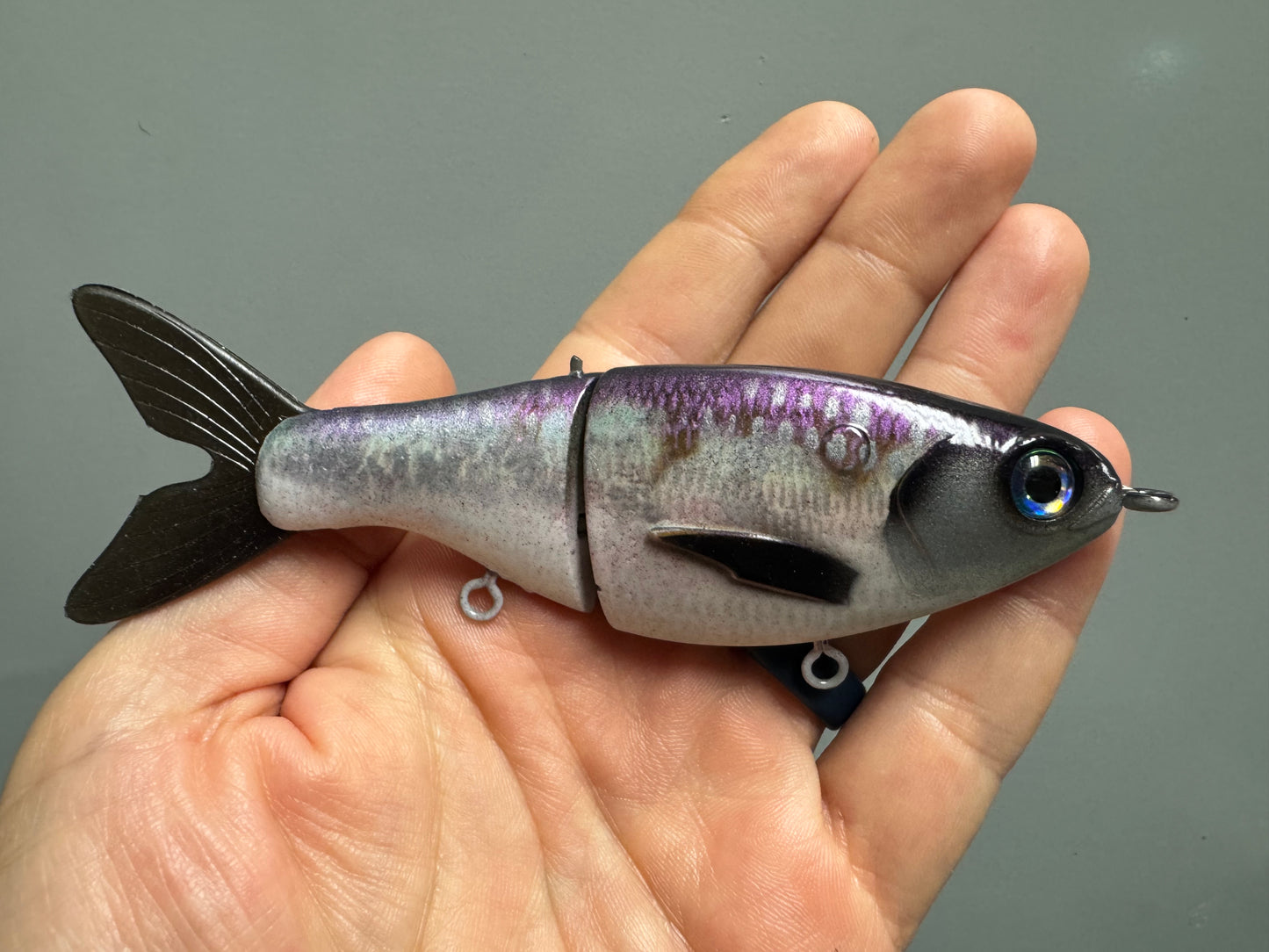 EKG Glidebait