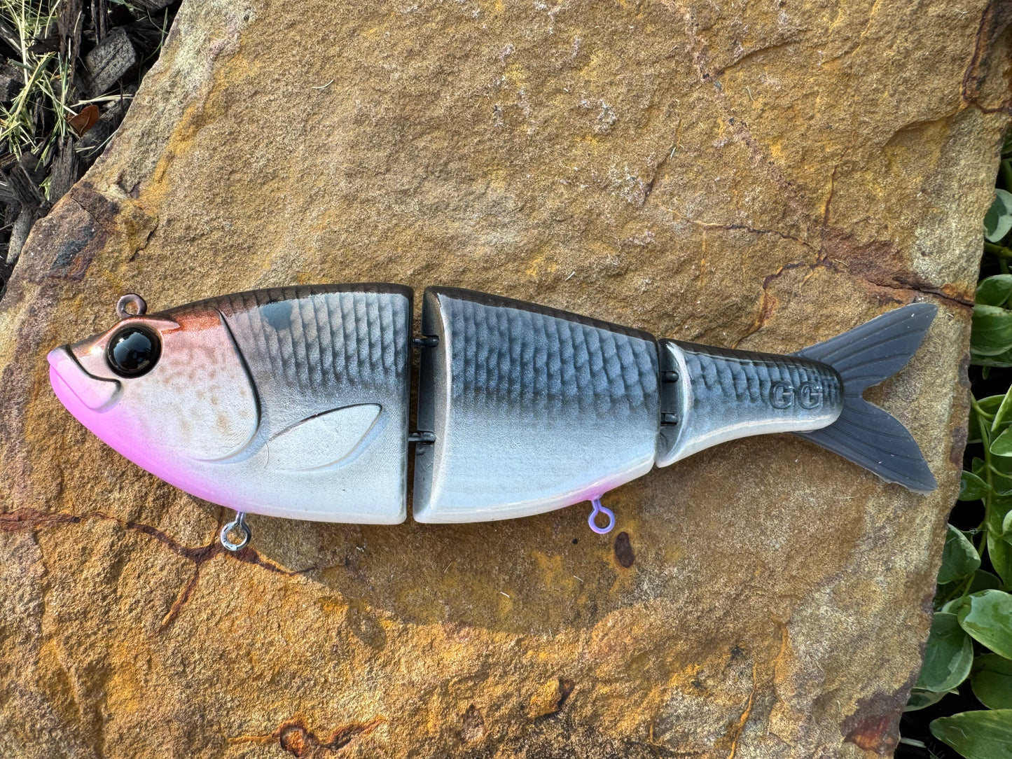 Flutter Shad