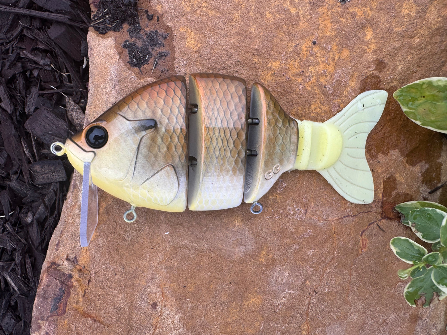 Giff’s Gill Cover Wake